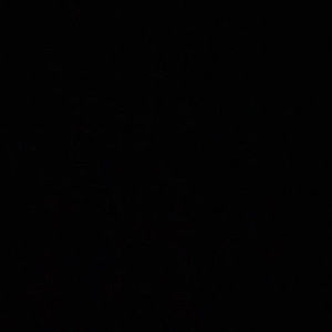 Meet your Posher, Ethan